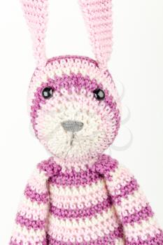 Funny knitted rabbit toy headshot portrait on white background