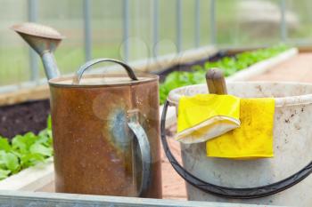 Agricultural tools. Watering can, bucket, yellow rubber gloves in a greenhouse