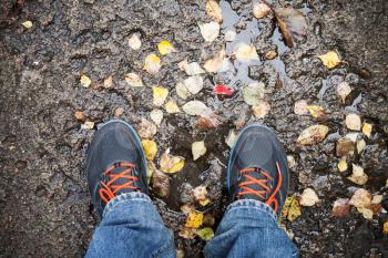 Male feet in sport shoes standing on dirty road with yellow falling leaves in autumn park