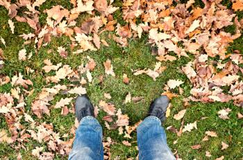 Male feet in blue jeans and black shoes standing on green park grass with autumnal leaves, first person view 