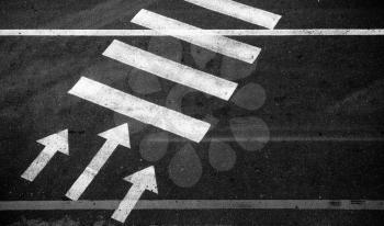 Pedestrian crossing with road marking: white arrows and rectangles on the dark asphalt road