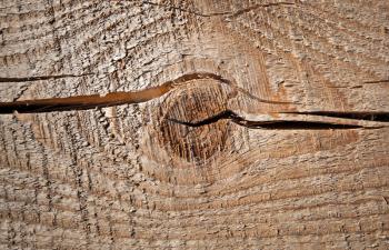 Closeup texture of uncolored old knotted wooden lining board