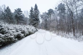 Empty rural road covered with snow in cold winter season