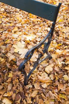 Old park bench with fallen yellow autumn leaves, vertical photo