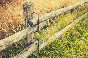 Rural wooden fence along field of rye in summer season. Retro stylized photo with tonal correction filter effect, old style