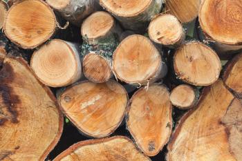 Stack of firewood, round birch chunks, close up photo