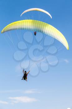 Amateur paragliders in blue sky with clouds, vertical photo