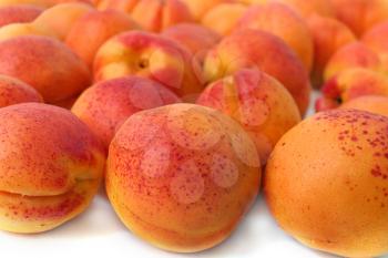Many tasty ripe apricots