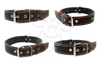 Animal collar set isolate on a white background