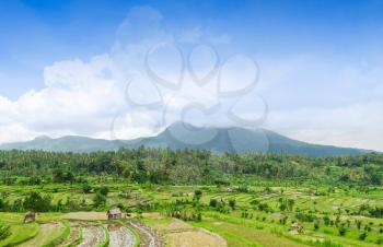 Beatiful rice terraces and mountains on Bali island