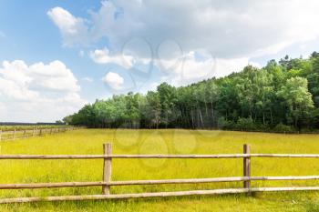 Rural summer landscape with wattle fence