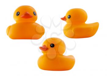 Rubber duck isolated on white background
