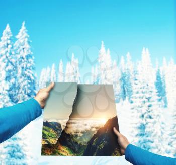 Male hands holding picture of summer landscape against winter mountains