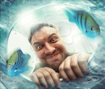 Crazy man looking in the toilet bowl while fishes are going down in the toilet