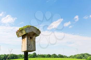 Wooden nesting box against blue sky