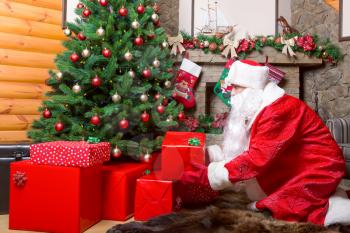 Bearded Santa Claus puts gift boxes under christmas tree, fireplace on background