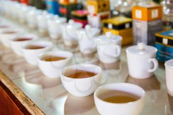 Ceylon tea tasting cups closeup view, tourist excursion on Sri Lanka