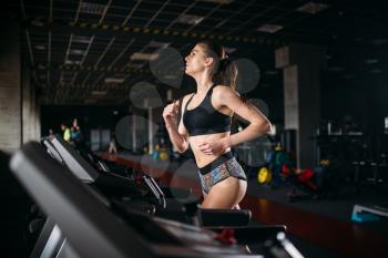 Female athlete on a treadmill in sport gym. Young woman in fitness club