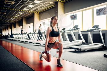 Slim woman doing exercise with dumbbells in fitness club. Female athlete training in sport gym