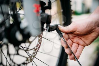 Bicycle mechanic hands adjusts disk brakes. Cycle workshop outdoor. Bicycling sport, bearded service man work with wheel