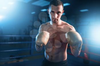Portrait of muscular boxer in black gloves. Boxing workout, mens sport