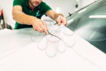 Professional car paint protection film installation process. Worker hands prepares protect coating against chips and scratches