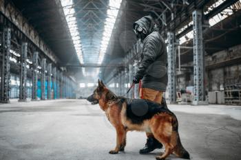 Stalker soldier in gas mask and dog in abandoned building, survivors after nuclear war. Post apocalyptic world. Post-apocalypse lifestyle on ruins, doomsday, judgment day
