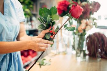 Female florist holds fresh red roses flower shop. Floristry business, bouquet making
