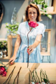 Female florist sorts fresh roses on the table in flower shop. Floral artist making bouquet at the workplace
