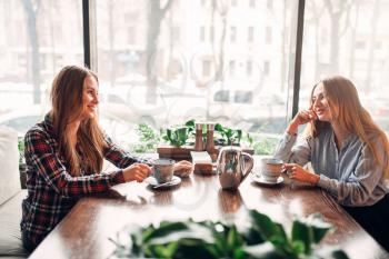 Two girlfriends met in a cafe to drink coffee. Female friends sitting in restaurant, gossipers meeting