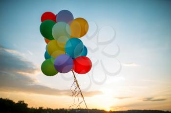 Bunch of colorful balloons flying in the sky at sunset, birthday or wedding celebration concept