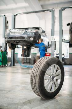 Wheel on the floor in tire service, repairman works with car on the lift on background. Automobile repair, vehicle maintenance