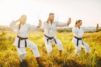 Two female karate training combat skill with male instructor in summer field. Martial art workout outdoor, technique practice