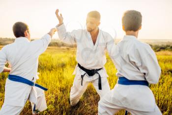 Junior karate fighters with master, combat skill training in summer field. Martial art workout outdoor, technique practice