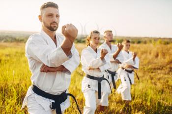 Karate group on training in summer field. Martial art workout outdoor, technique practice