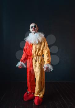 Mad bloody clown with makeup in carnival costume, crazy maniac, scary monster