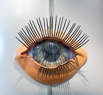 Anatomical plastic model of human eye with eyebrows and eyelashes. Medical stand, eyeball education concept