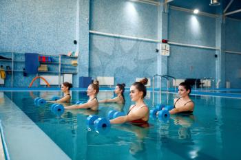 Female swimmers group, aqua aerobics in the pool. Women in the water, sport swimming fitness workout, healthy lifestyle