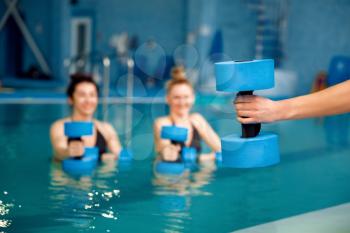 Female swimmers, group aqua aerobics, exercise with dumbbells in the pool. Women in the water, sport swimming fitness training