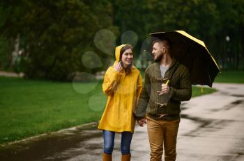Love couple with umbrellas walks in summer park, back view, rainy day. Man and woman leisures on walking path in rain, wet weather in alley