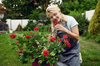 Happy woman in apron smelling flowers in the garden. Female gardener takes care of plants outdoor, gardening hobby, florist lifestyle and leisure