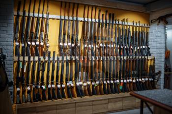 Rows of rifles on the wall, showcase in gun shop, nobody. Euqipment for hunters on stand in weapon store, hunting and sport shooting hobby