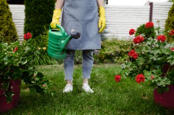 Woman in apron and gloves holds watering can in the garden. Female gardener takes care of plants outdoor, gardening hobby, florist lifestyle