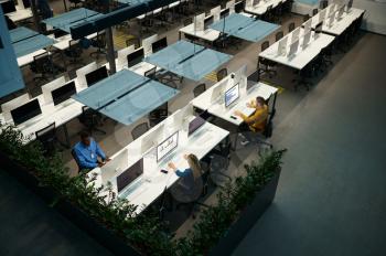 Team of managers works on computers in IT office, top view. Professional teamwork and planning, group brainstorming, modern company interior on background
