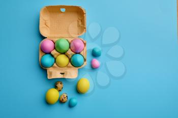 Colorful easter eggs in box on blue background. Paschal food, event decoration, spring holiday celebration symbol