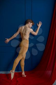 Male ballet dancer, performing in dancing studio, blue walls and red cloth on background. Performer with muscular body, grace of movements