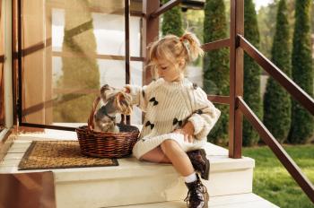 Kid with funny dog in basket are sitting on the stairs in country house. Child with puppy poses on backyard. Little girl and her pet having fun on playground outdoors, happy childhood