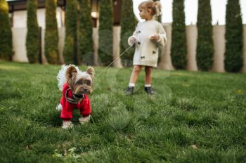 Kid with funny doggy walking in the garden. Female child with puppy poses on backyard. Little girl and her pet having fun on playground outdoors, happy childhood