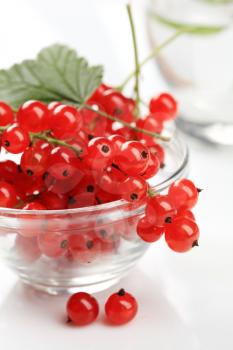 Bowl of red currant berries - detail