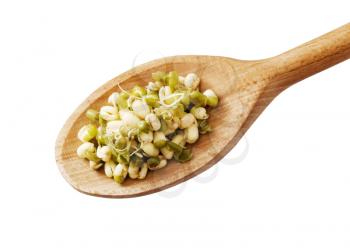 Mung beans on a wooden spoon 